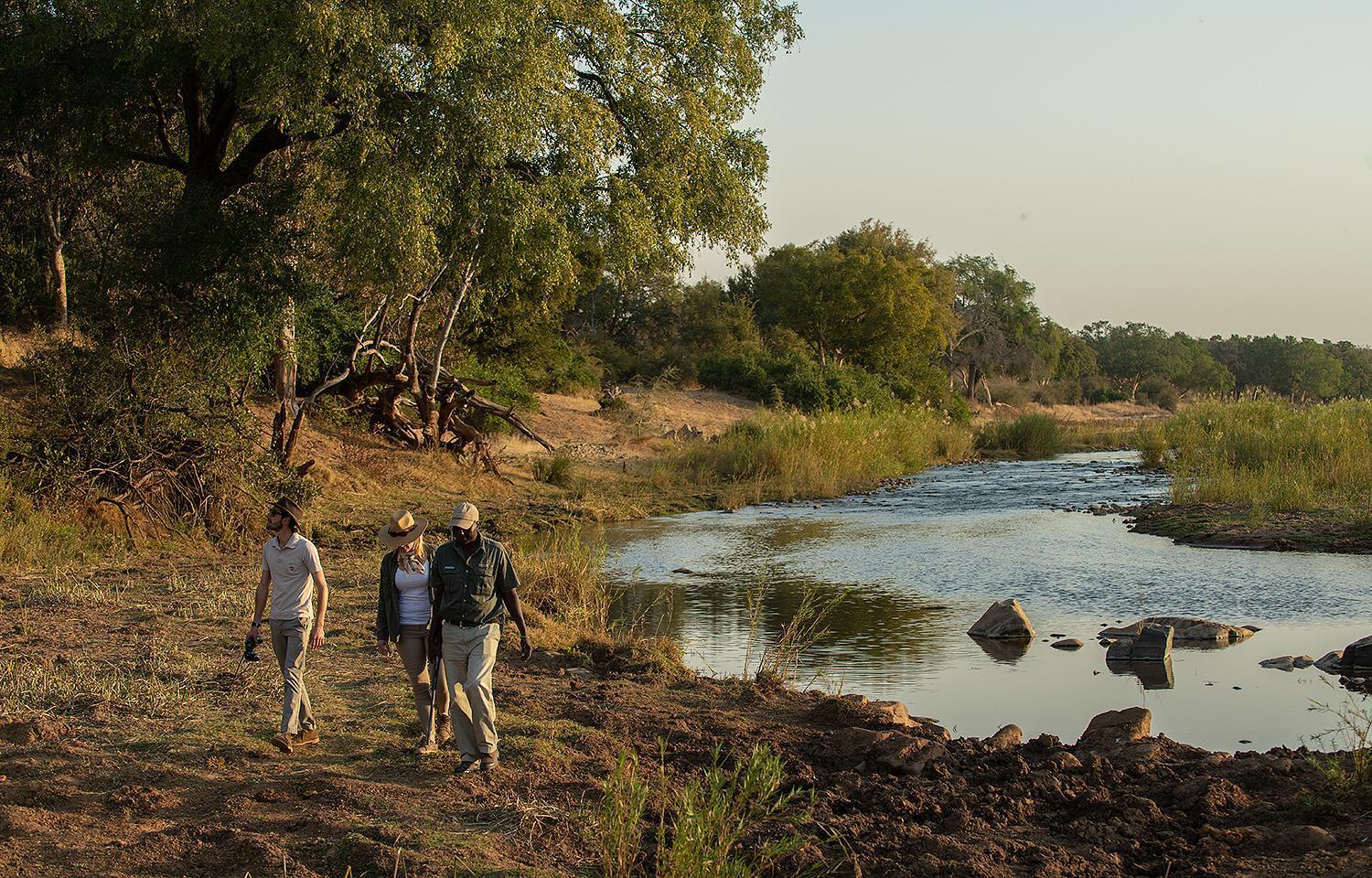 Pondoro Game Lodge Balule Game Reserve Bagian luar foto